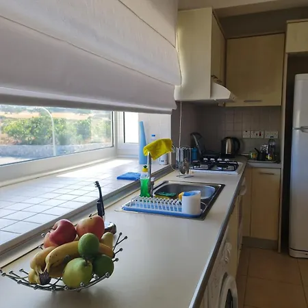 公寓 Penthouse With Rooftop Terrace Akanthou